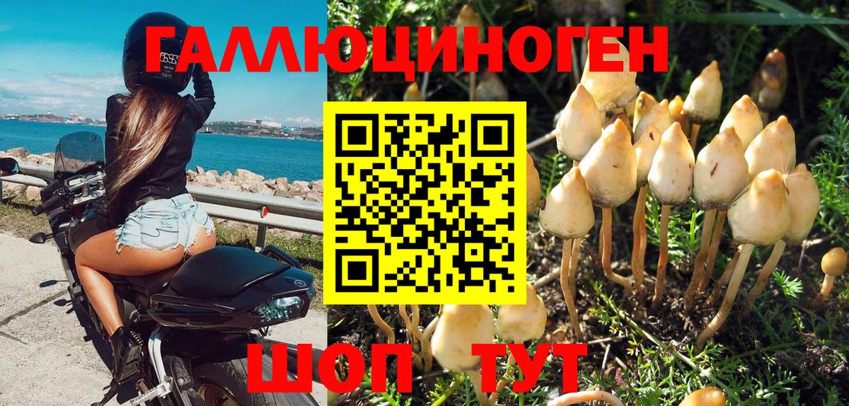 Галлюциногенные грибы Psilocybe  Вход с VPN  Каспийск 